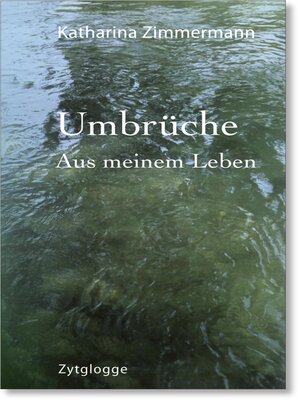 cover image of Umbrüche